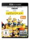 Minions Film in 4K Ultra HD