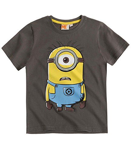 Minions T-Shirt Jungen grau