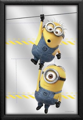 Despicable ME Minions Spiegel